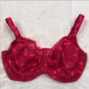 PRIMA DONNA - EUC-NWOT Bra (36I)